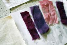 Strips of cloth dyed in different shades of purple and pink, most likely from berries.