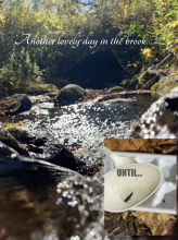 A tranquil image of a forested brook with the caption "Another lovely day in the brook" with an inset image of a student holding a stonefly in a plastic spoon and the caption "UNTIL..."