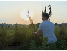 A man standing near a grassy field with the sun low in the sky.