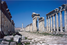the main street (cardo maximus) in Apamea, Syria