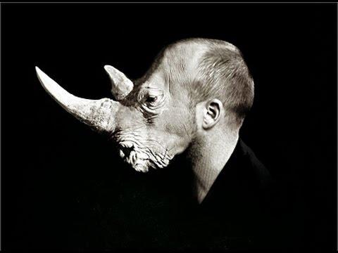 image of a rhinocerous head superimposed on a human head