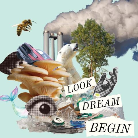 abstract collage with the words "LOOK   DREAM   BEGIN"