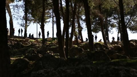 People standing on a wooded ridge