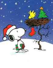 Picture of Snoopy on a stary snowy night looking up at a birds next
