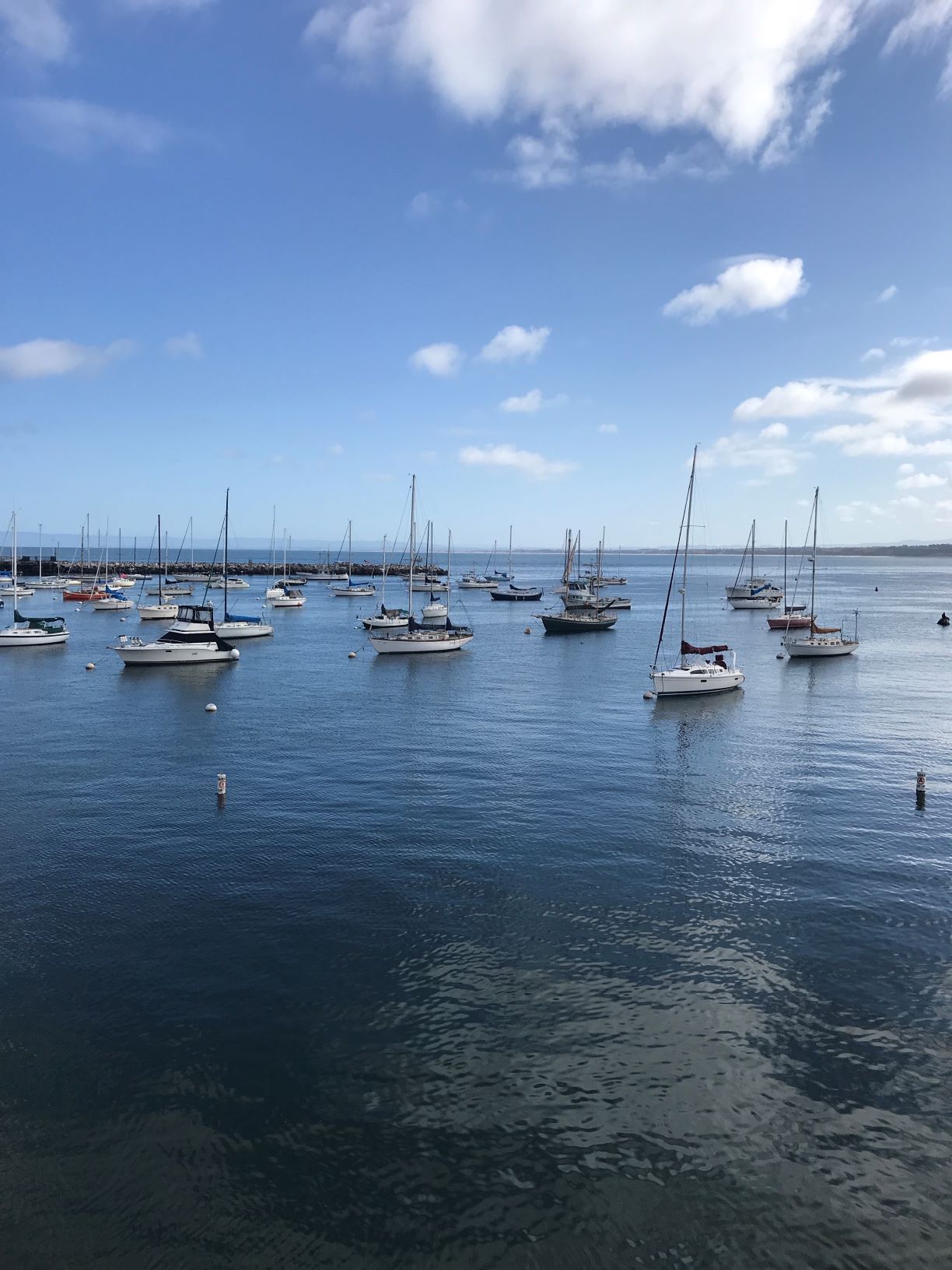 Sailboats in Monterey Bay Harbor