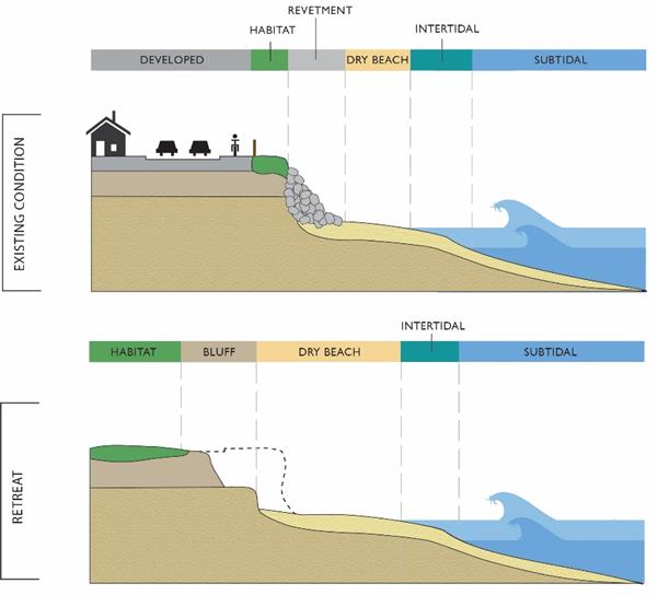 Figure showing components of managed retreat