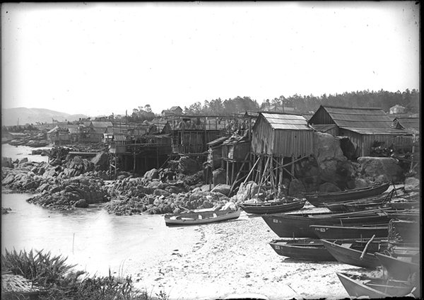 ChineseFishingVillage-Circa1900-photobyCK.Tuttle-courtesyofPGMuseumNaturalHistory