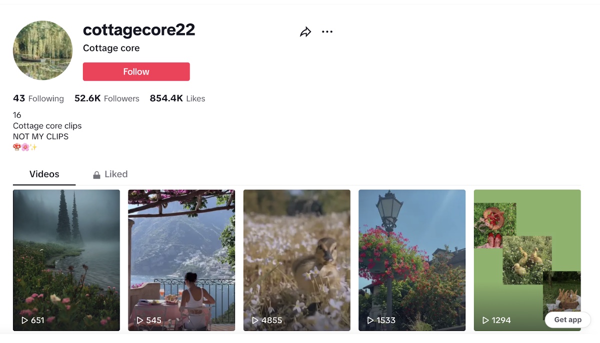 Cottagecore TikTok Example as described above