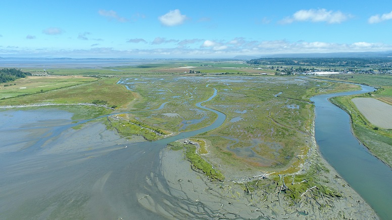 Skagit Wildlife Area