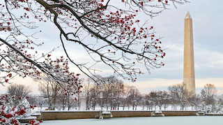 The Washington Monument in the background. The Washington Tidal Basin in Foreground