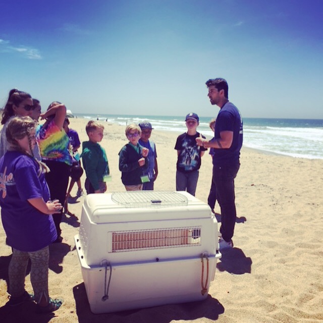 Andreas Schrier at the Mammal Marine Center