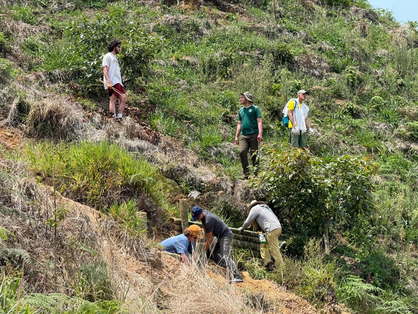 students on a hill