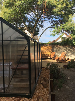Greenhouse.jpg Greenhouse