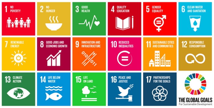 Pictoral representation of the 17 United Nations Sustainable Development Goals