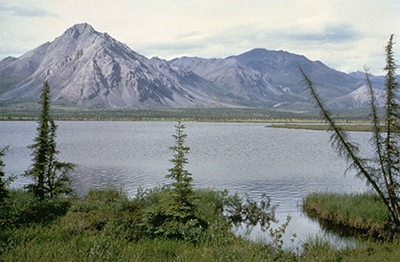Arctic lake in summer