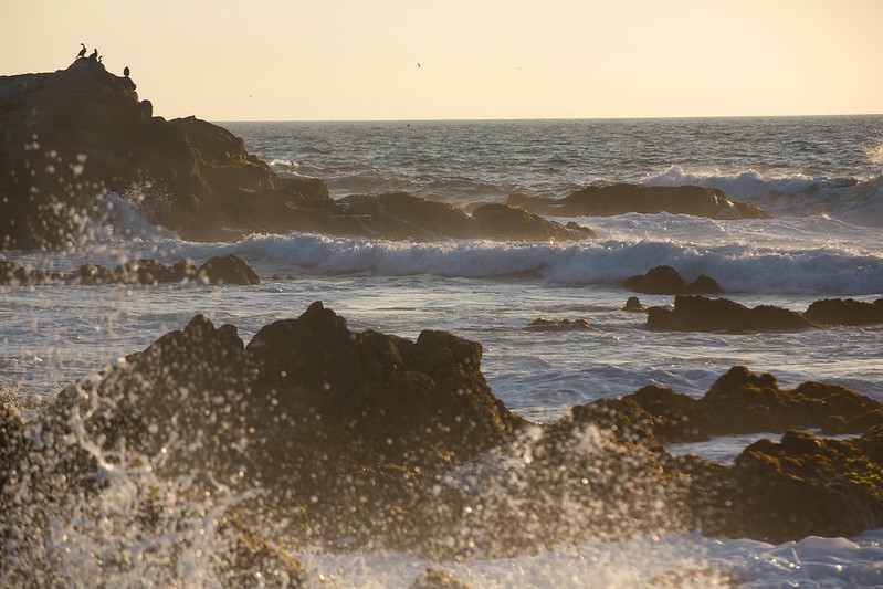 Monterey Coast