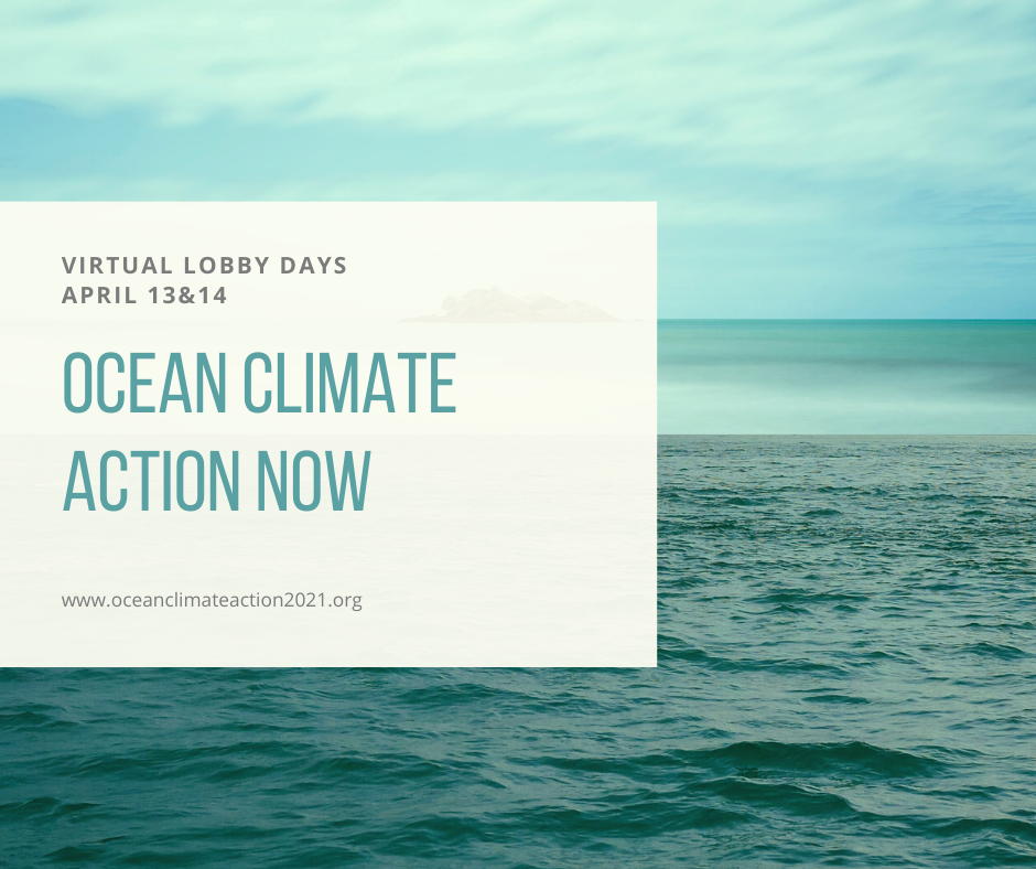 blue ocean and blue sky with call to action to protect both