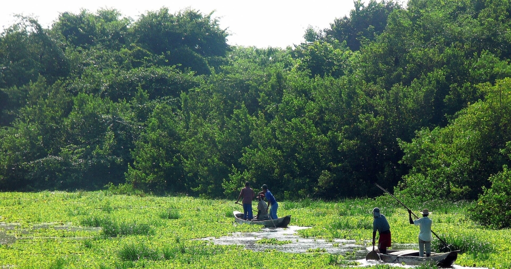 Men using poles to steer boats in Columbia