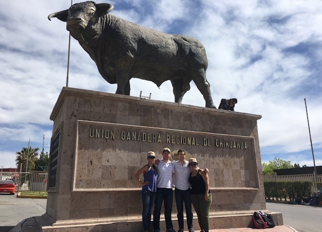 MBA Students in front of Bull Statue in Chihuahua, Mexico MBA Students in front of Bull Statue in Chihuahua, Mexico