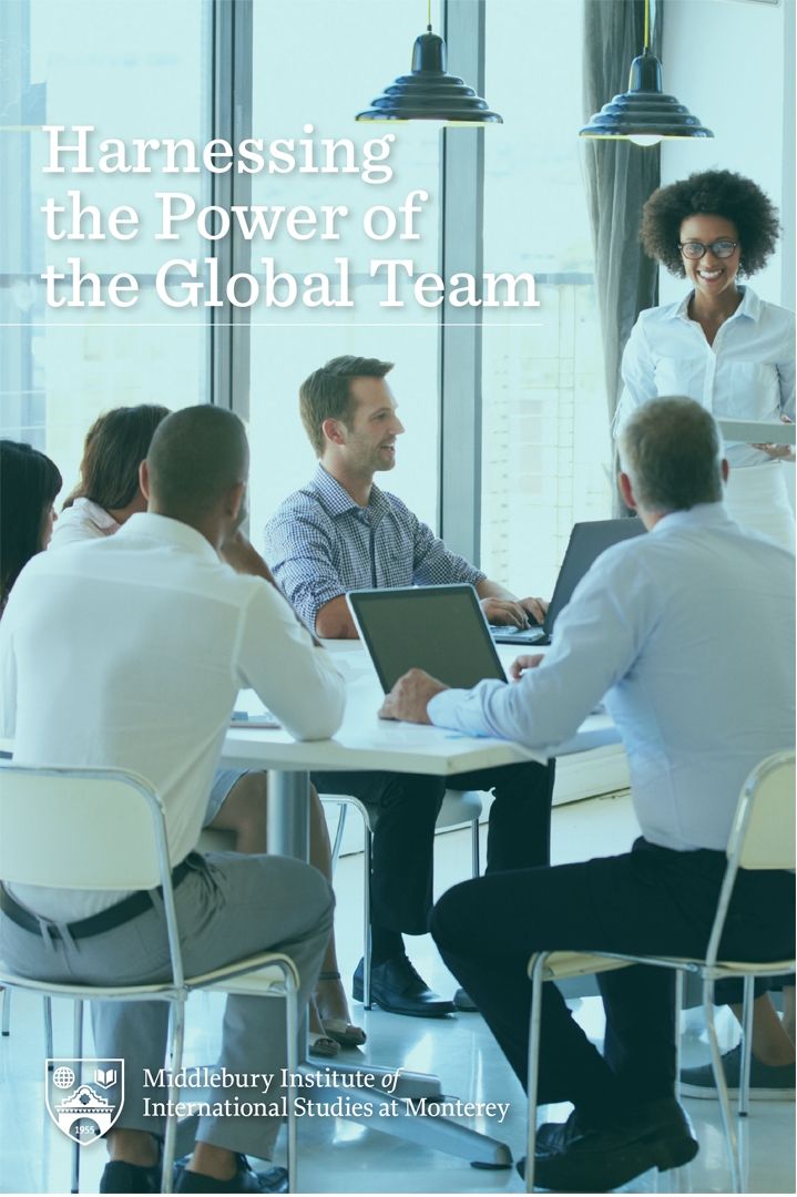 Custom Language Services brochure cover for the cross-cultural training program, Harnessing the Power of the Global Team. Shows a group of diverse professionals in a meeting setting.