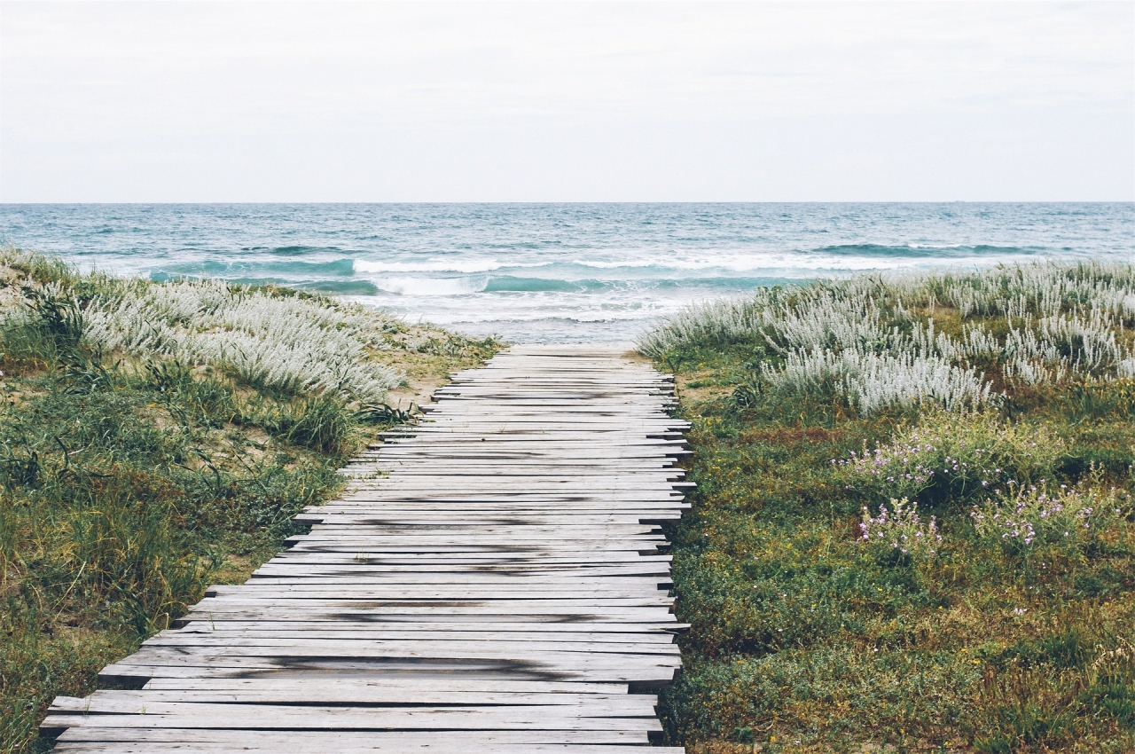 Path Through Wetland to Ocean