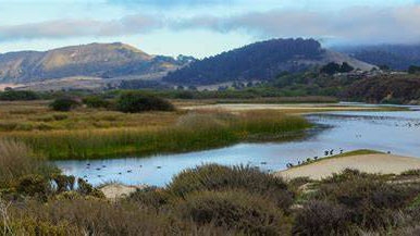Illeana Alexander (MA IEP ‘21) completed her practicum internship with the Carmel River Watershed Conservancy. She took this photo in the fall.