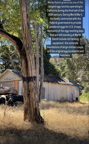 Marks ranch
