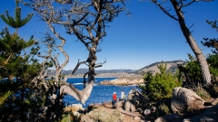 Point Lobos