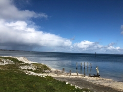 View of Grays Harbor (WA State) looking toward Westport from Brady’s Oysters Inc.