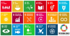 Pictoral representation of the 17 United Nations Sustainable Development Goals