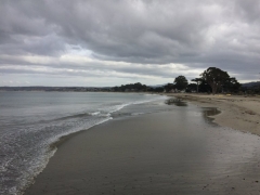 MontereyMunicipalBeach.TomWright-MontereyHerald.12.14.18