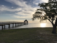 Louisiana Pier and oak tree