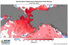 NOAA Image of June 2019 Alaska Sea Temps