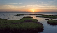 The Palmico Sound of North Carolina, blue waters curve elegantly around green marsh grashes, as a golden pink sun rises? sets? in a wispy cloud filled sky