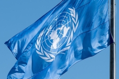 United Nations flag rippling in a breeze.