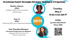 Practicum Panel: Strategic Decision‑Making in UN Systems