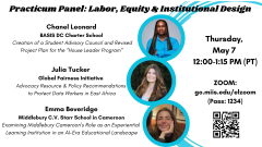  Practicum Panel: Labor, Equity & Institutional Design