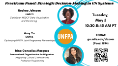  Practicum Panel: Strategic Decision‑Making in UN Systems
