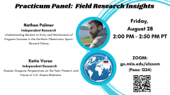 Practicum Panel on Independent Research Topics