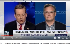 Jeffrey Lewis on Fox News