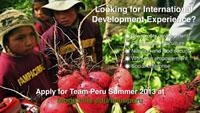 Digital Sign - Team Peru