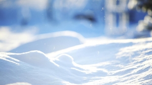 Up close image of white snow on ground.