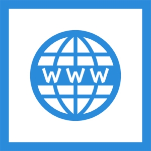 A blue box holding a globe covered by blue lines and "W W W" for the world wide web--i dunno about you but life was better before computers
