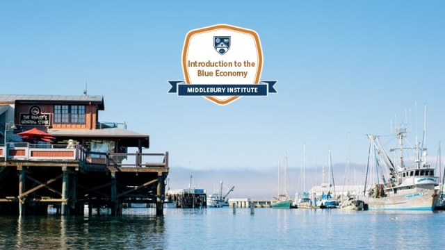 Middlebury Institute Launches New Online Course on the Blue Economy