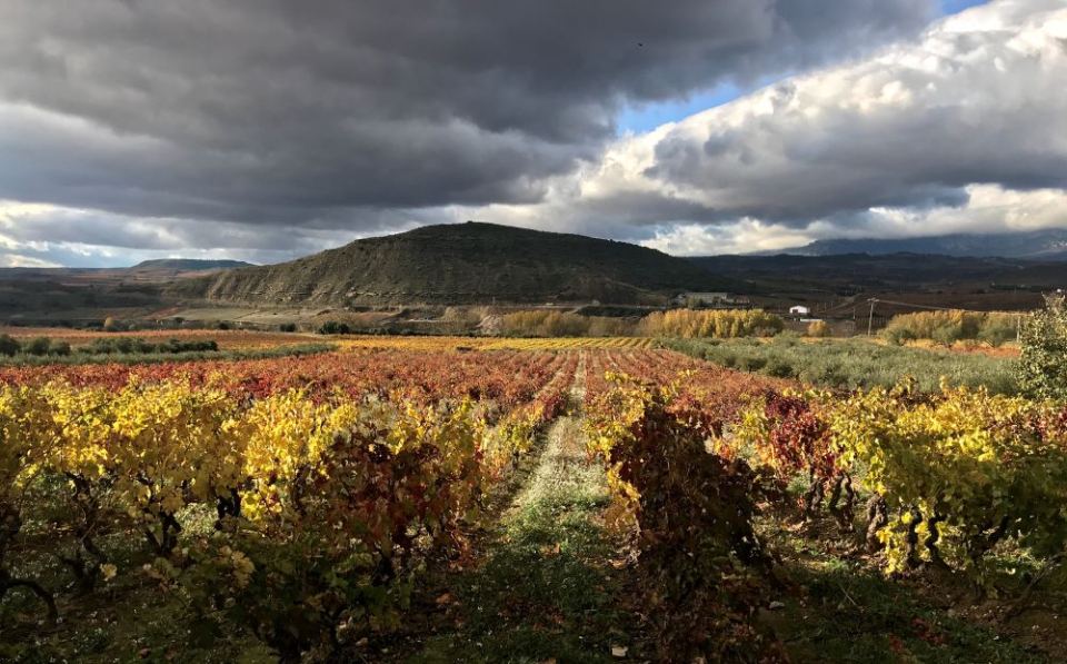 Colors of La Rioja