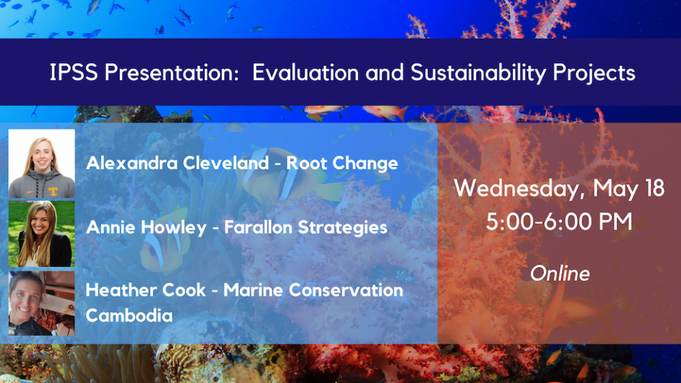 Evaluation and Sustainability Projects copy