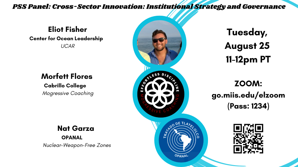 PSS Panel Cross-Sector Innovation Institutional Strategy and Governance