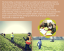 Spanish food safety vocabulary helps students understand and prevent accidents