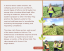 Class visits ranchos/farms to practice Spanish