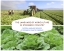 The Language of Culture in Steinbeck Country
